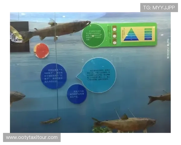 博鱼体育官方安全保障措施，确保用户信息安全与资金交易的可靠性与稳定性