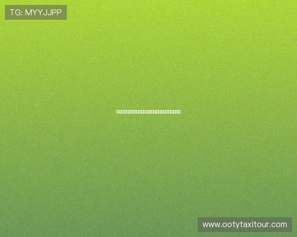 沙特对乌拉圭比赛中教练布置的战术策略背后团队准备工作